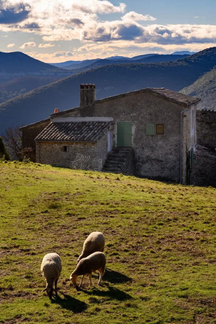 Vue Cevennes Stage randonnée Cévennes