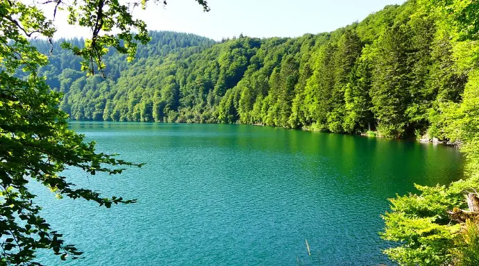 besse