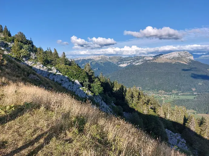 Chant chorale 4 voix en Chartreuse